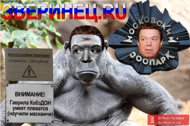 ajb8eh.jpg