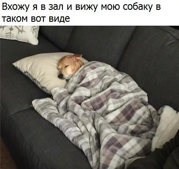 ajbca0.webp