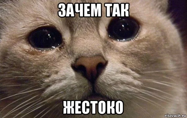 ajdb4h.webp
