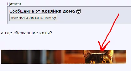 ajdc9f.webp