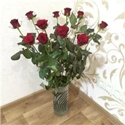 ajdd5h.webp