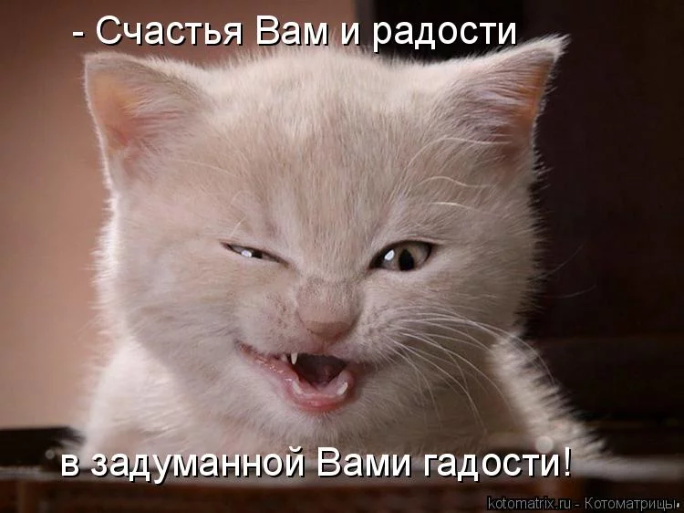 ajf3ea.webp