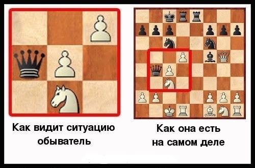 ajf7hc.jpg