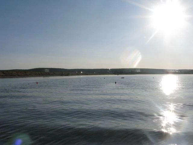 ajfdd8.webp