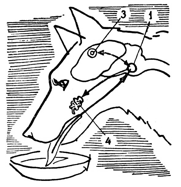 ajh2cc.webp