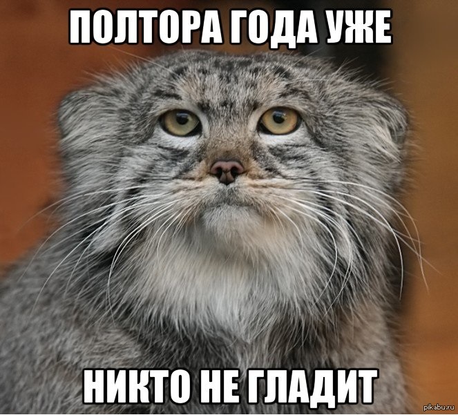 ajha3f.jpg
