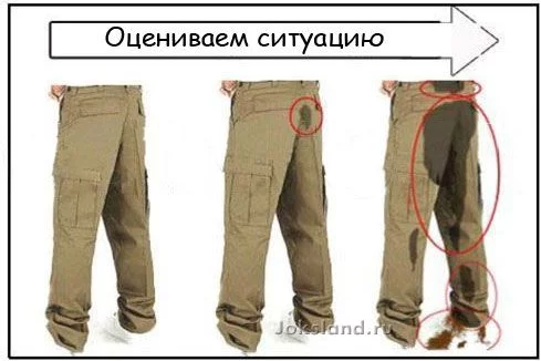 ajhfc5.webp