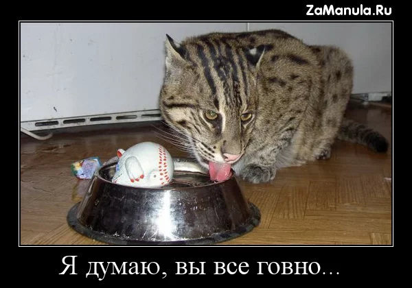 ajhfc5.webp