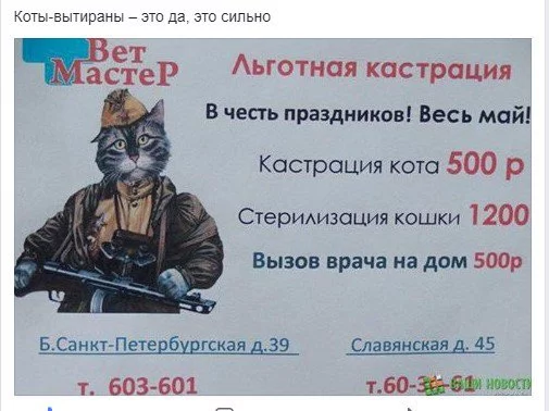 ajhjh5.webp