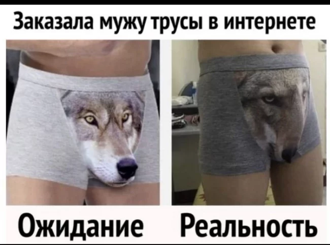 ajjef4.webp