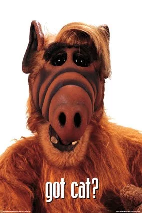 alf27spic.webp