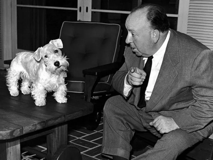 Alfred-Hitchcock-4.webp