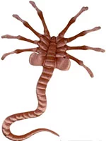 alien_facehugger.webp