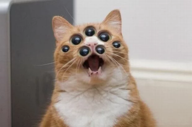 alienc10.webp