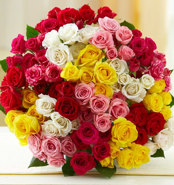 all-about-roses-types.webp