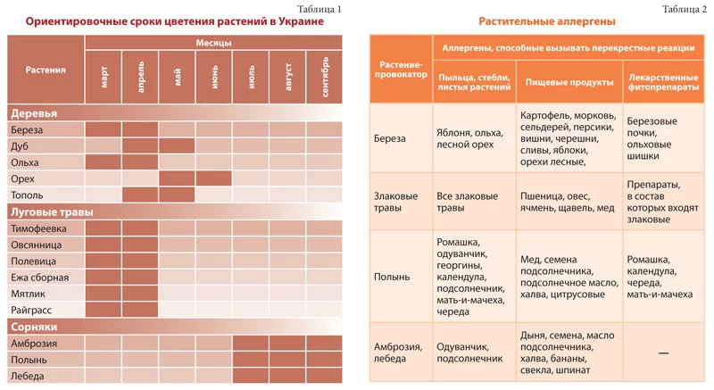 allerg_kon_table1-2.webp