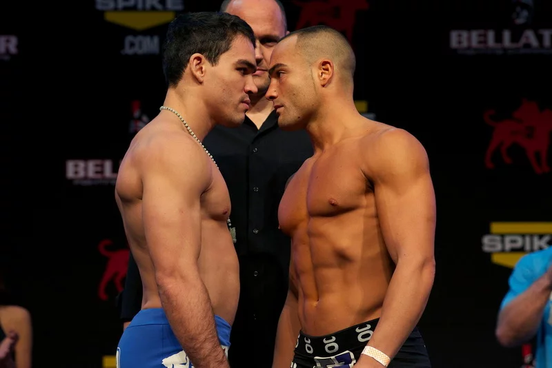alvarez-freire.webp