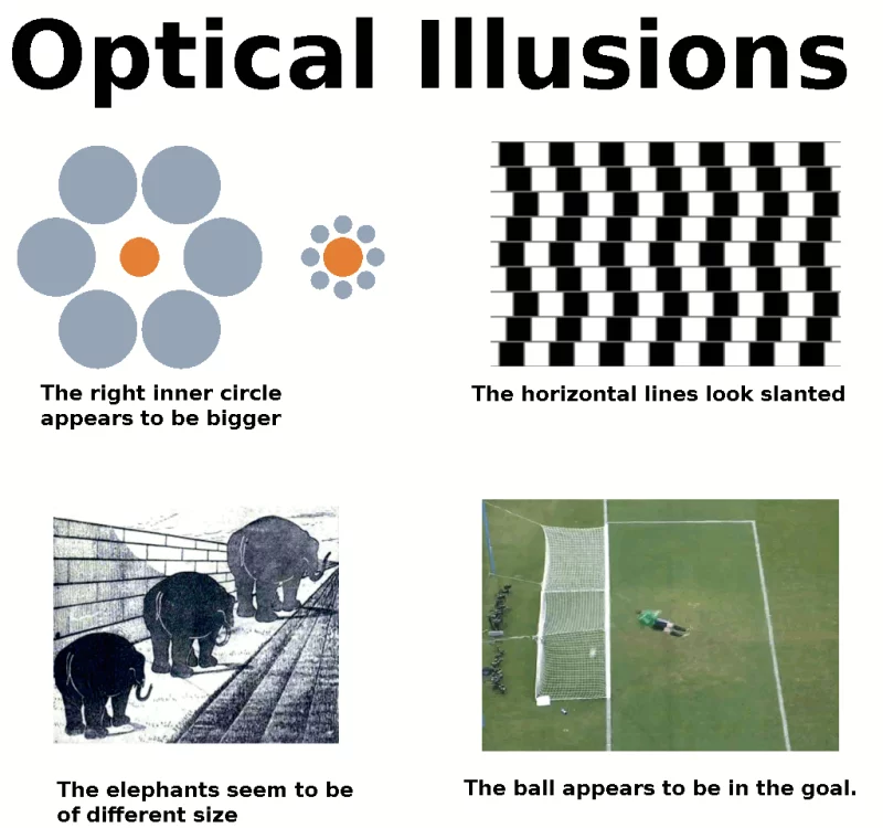 amazing-optical-illusions.webp