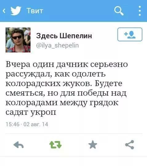 AMgyni77cvw.webp