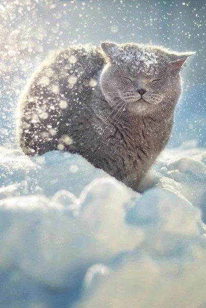 AMj7sbDMgsE.webp