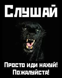 AmjQHnrifT0Jj6NLIq7A3GQyjpIMSz2pBTCtEiL6oPsJ8_0ctk.webp