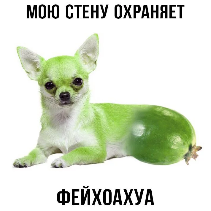 AmvsJG3CgaE.webp