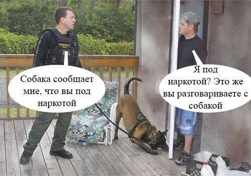 an3QoRD8TxM.webp