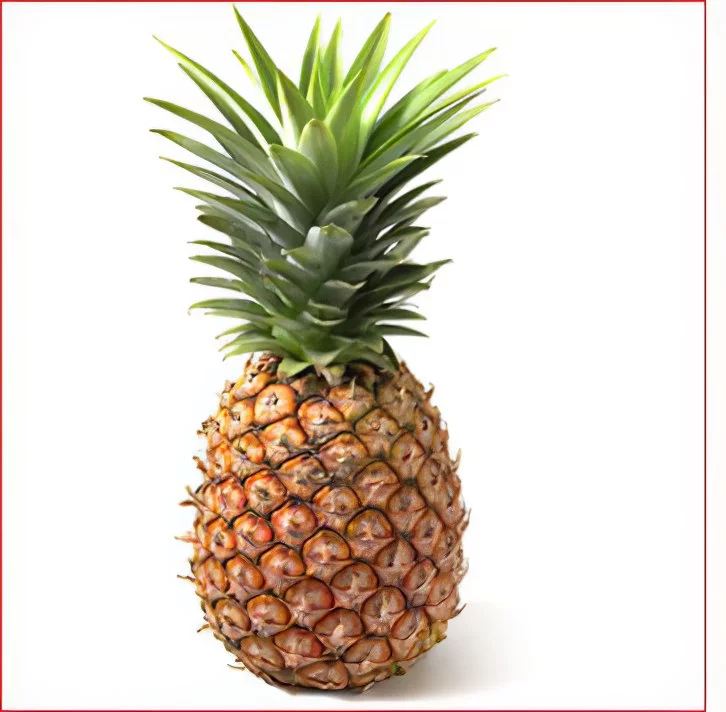 ananas.webp