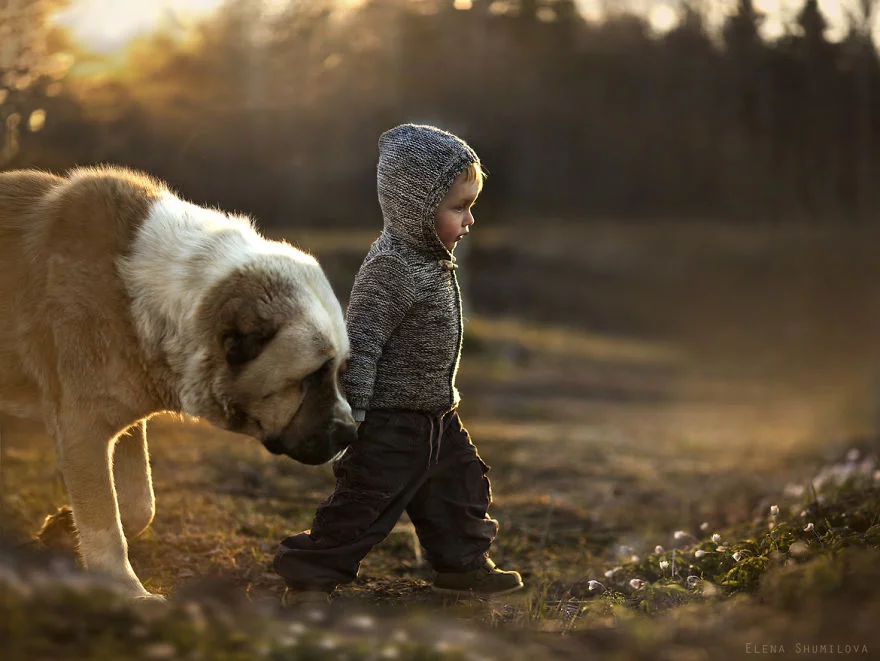 animal-children-photography-elena-shumilova-18.webp