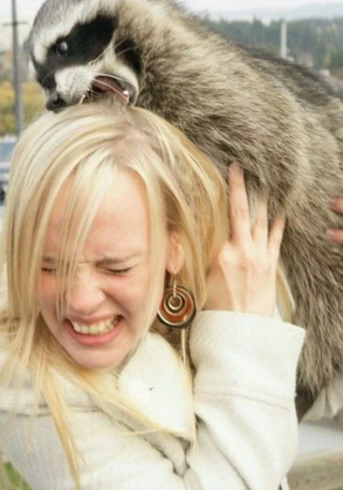 animals_vs_women_08.webp