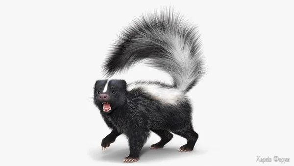 animalskunkfurrigged3dsmodel001.webp