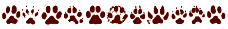 animaltracks.gif