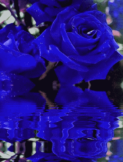 AnimatedRoyalBlueRoses.gif
