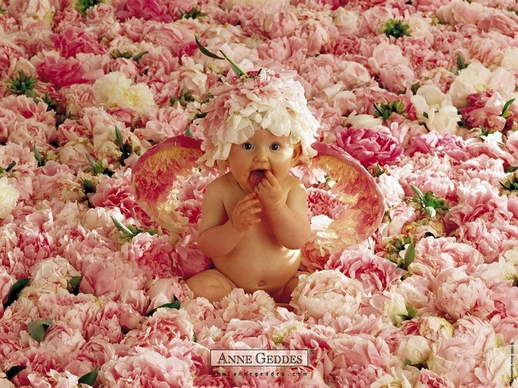 anne_geddes_105.webp