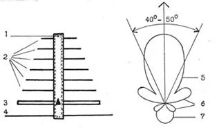 antena-1.webp