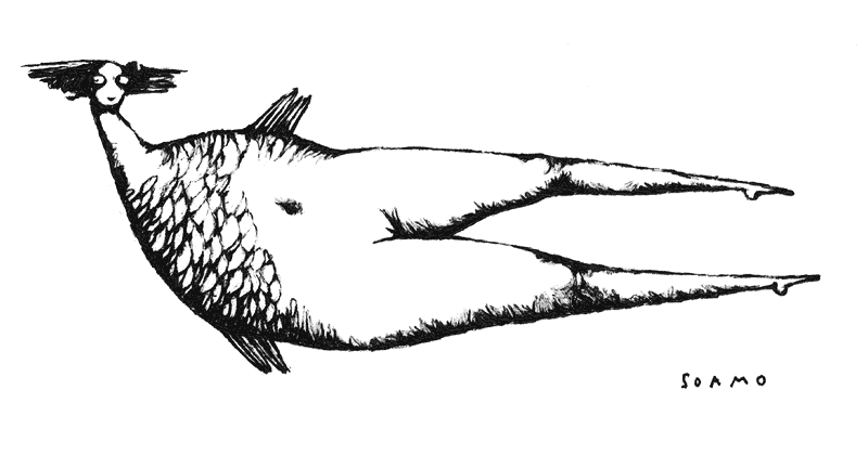 antimermaid.gif