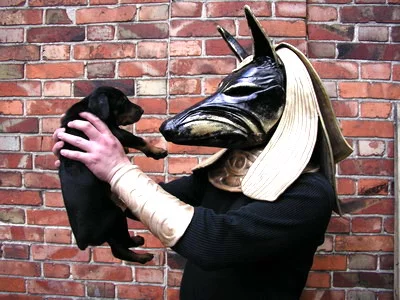Anubis-New-2.webp