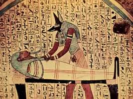anubis.webp