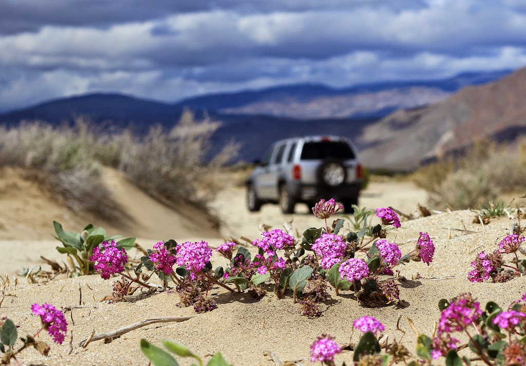 anza-borrego-jeep.jpg