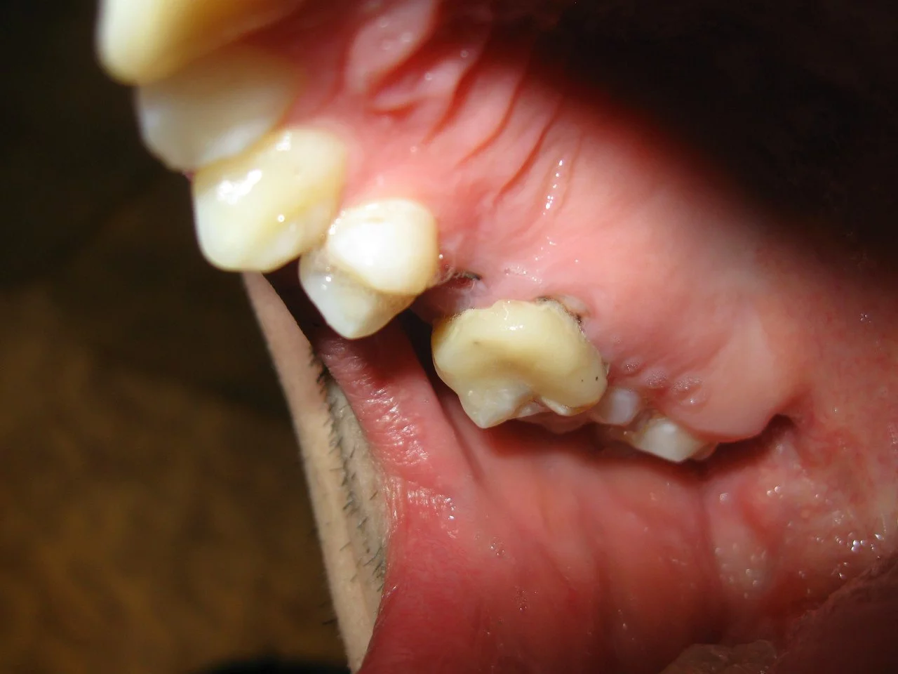 ao57QcekRxI.webp