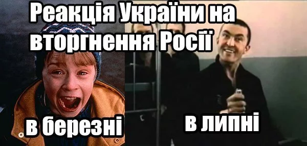 AoF8nmnIS58.webp