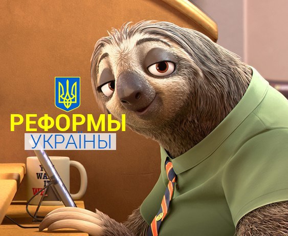 aoYQVQFOhVs.jpg