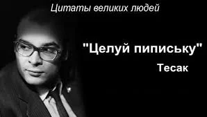 AP3wCdJgu7G410zXJ4MLmRV6JRo7rQGK80mTfRc-flFsXIAa6g.webp