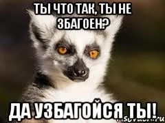 APf-m4zMWVX_4hwEmK_XboNl3ZUhsLVo_zigVyoPT7MIXjP82A.webp