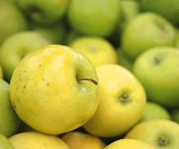 apples.webp