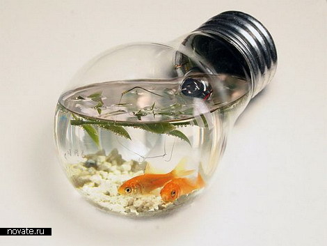aquarium7.jpg