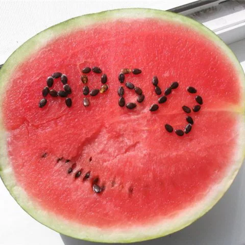 arbuz.webp