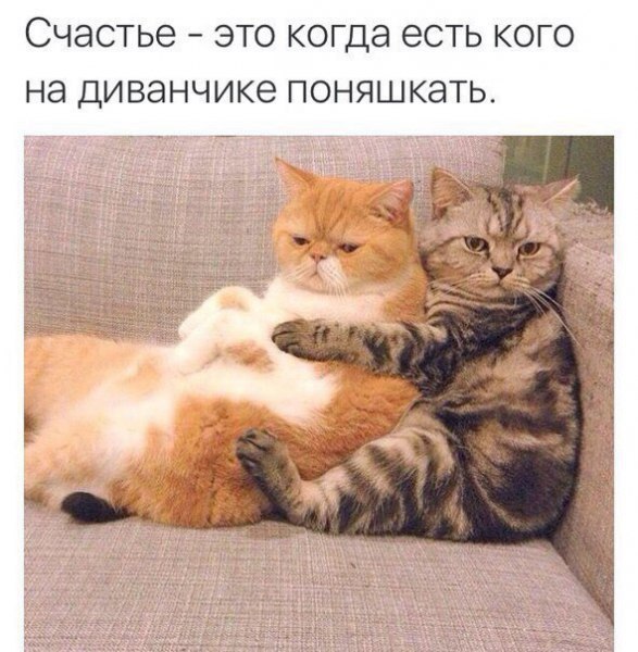 arNSbk3Mjz4.jpg