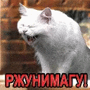 art-laugh.gif