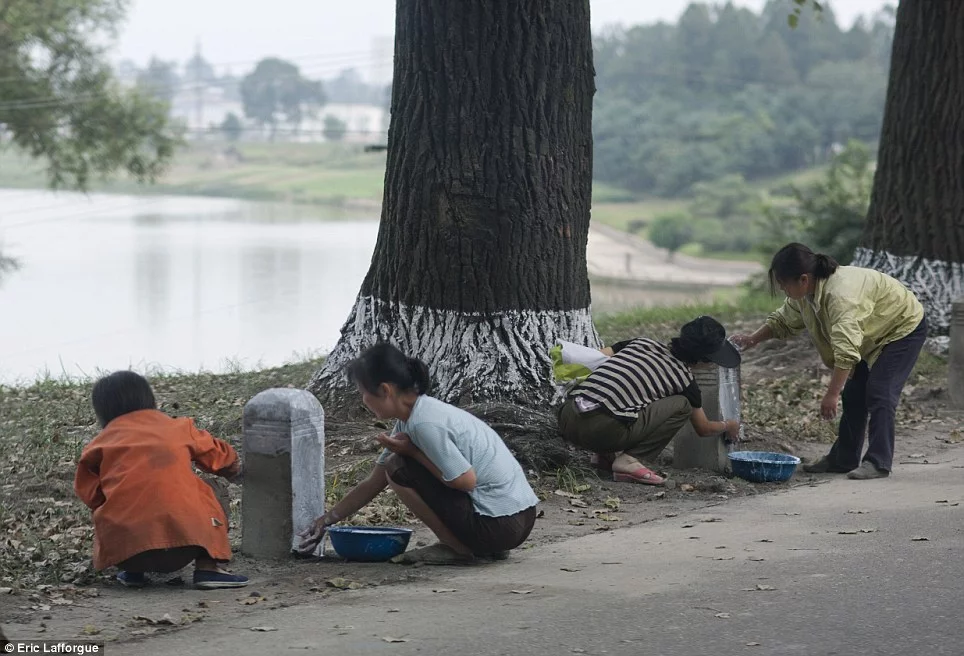 article-2624164-1DADC60B00000578-950_964x656.webp